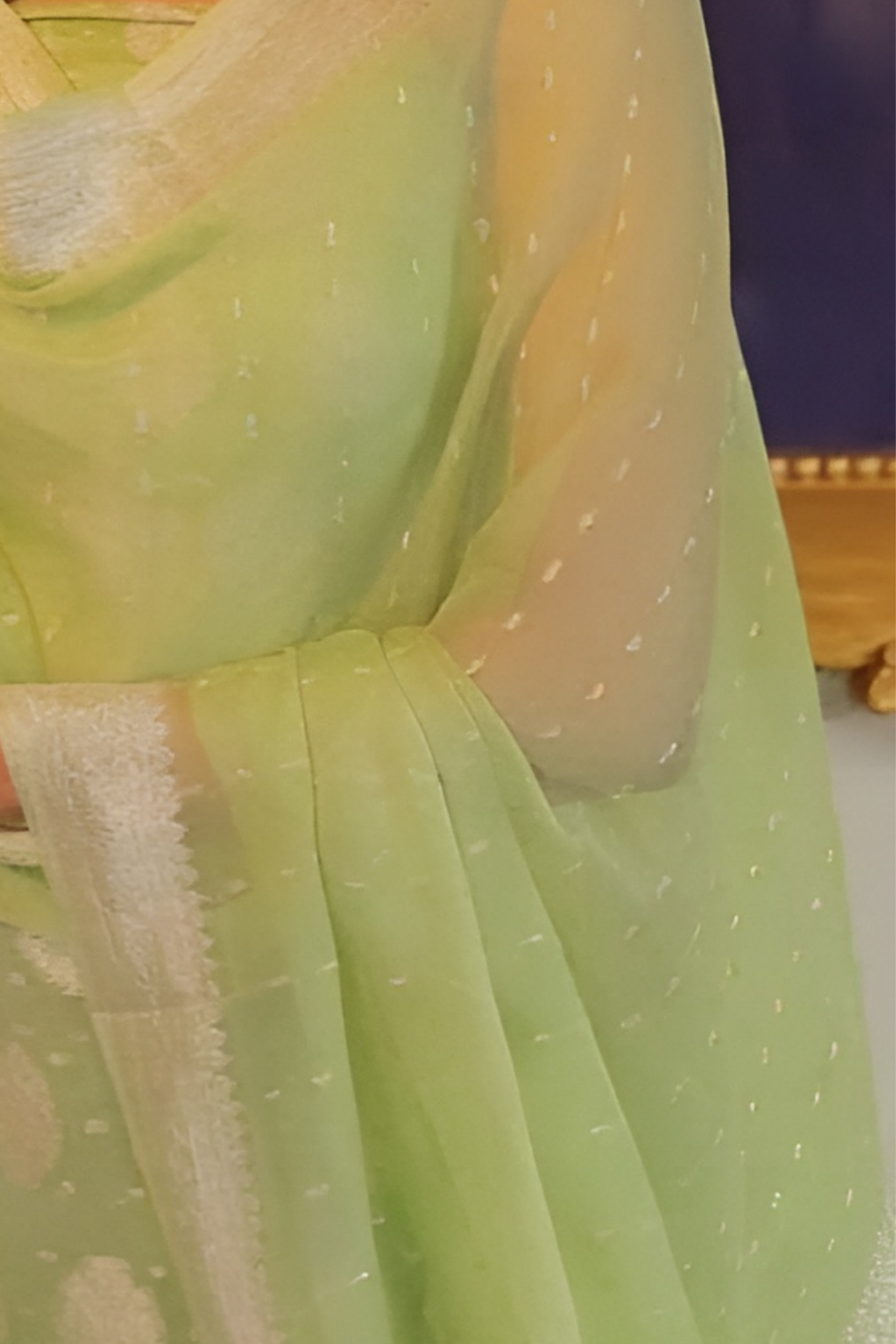 Pistachio Banarasi Khaddi Georgette Dress